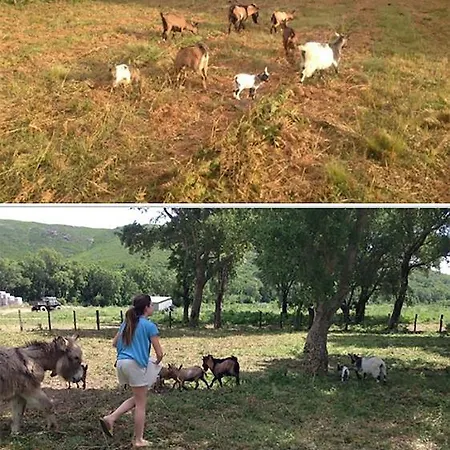 Bed & Breakfast De La Distillerie Marine de Pietracorbara