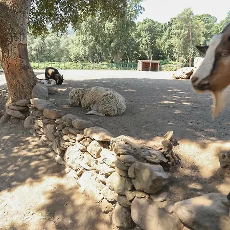 Bed & Breakfast De La Distillerie *