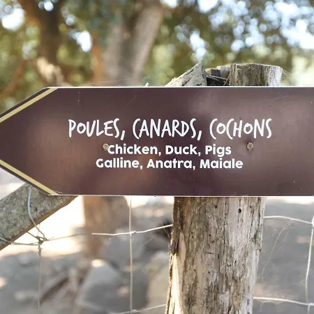 De La Distillerie Bed & Breakfast Marine de Pietracorbara