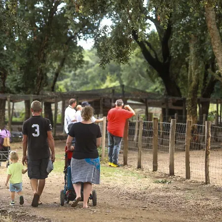 De La Distillerie * Marine de Pietracorbara