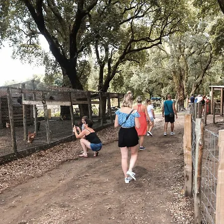 De La Distillerie Bed & Breakfast