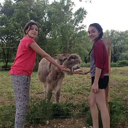 Couette-café De La Distillerie