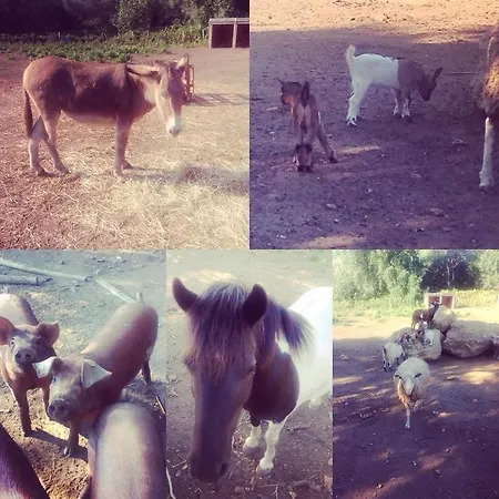 Couette-café De La Distillerie