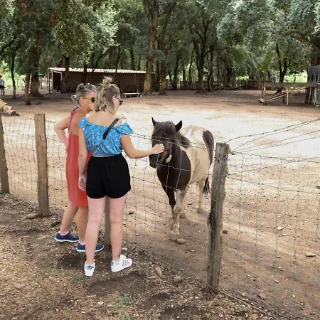 De La Distillerie Couette-café Marine de Pietracorbara
