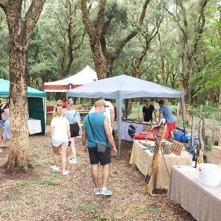 Couette-café De La Distillerie *