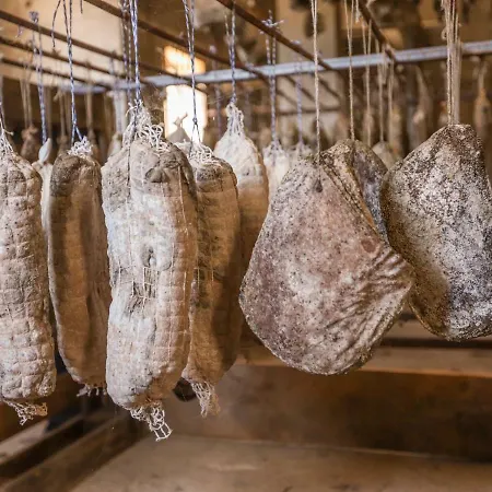 Couette-café De La Distillerie Marine de Pietracorbara