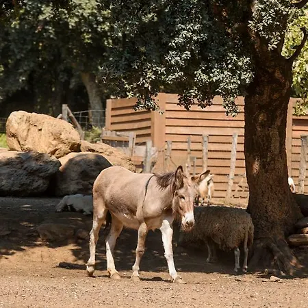 De La Distillerie Couette-café *