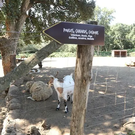 De La Distillerie Couette-café