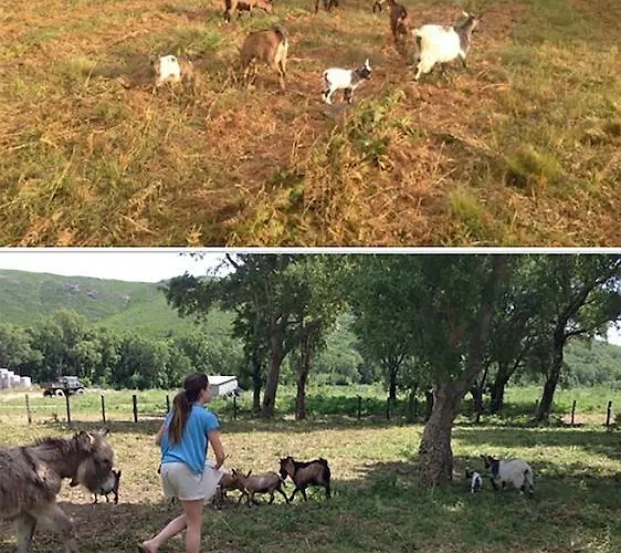 فندق مبيت وإفطار De La Distillerie Marine de Pietracorbara