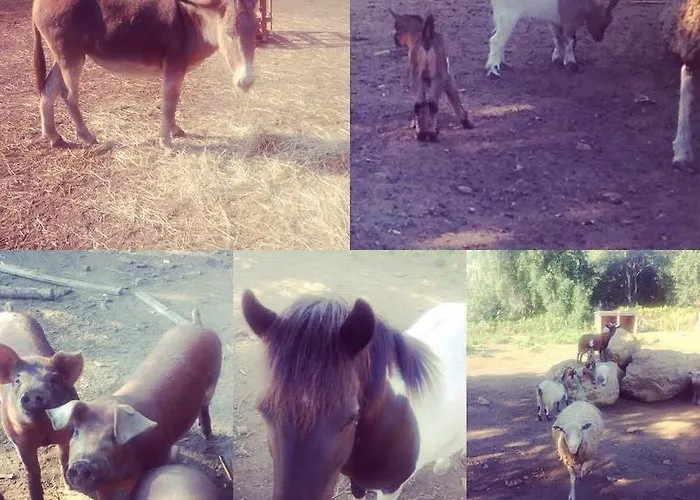 فندق مبيت وإفطار De La Distillerie