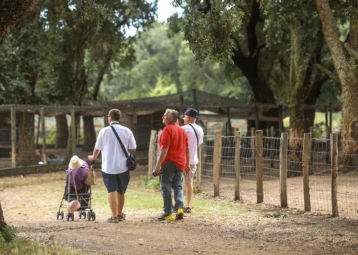فندق مبيت وإفطار De La Distillerie Marine de Pietracorbara