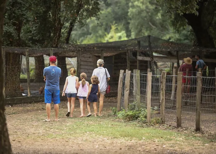 De La Distillerie فندق مبيت وإفطار