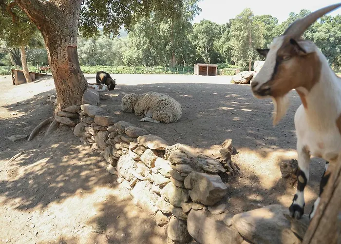 فندق مبيت وإفطار De La Distillerie *