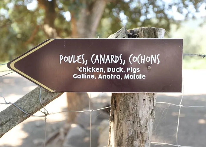 De La Distillerie فندق مبيت وإفطار Marine de Pietracorbara