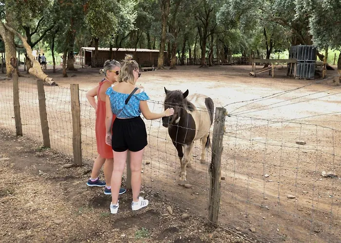 De La Distillerie فندق مبيت وإفطار Marine de Pietracorbara