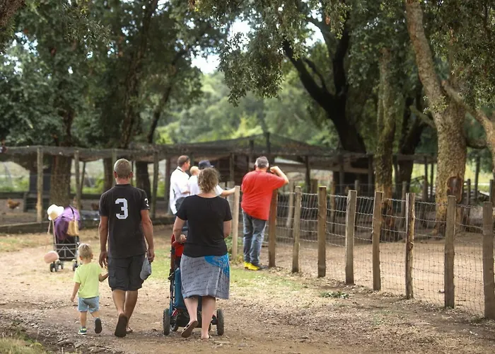 De La Distillerie * Marine de Pietracorbara
