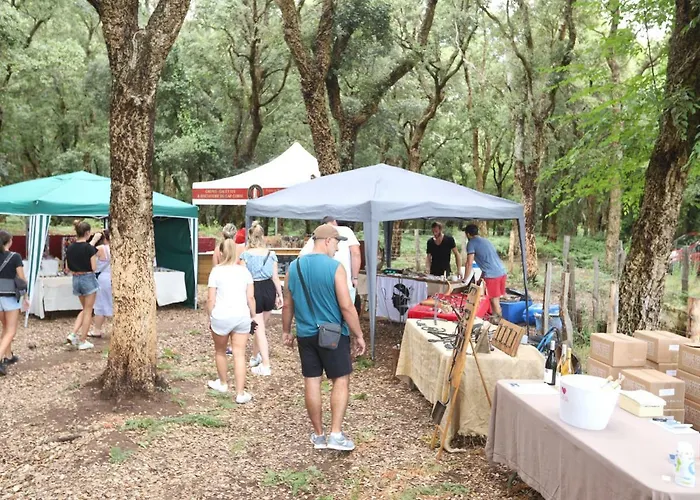 فندق مبيت وإفطار De La Distillerie *