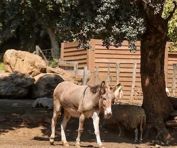 De La Distillerie فندق مبيت وإفطار *