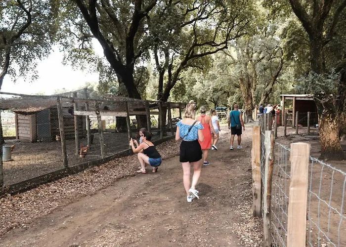 De La Distillerie فندق مبيت وإفطار