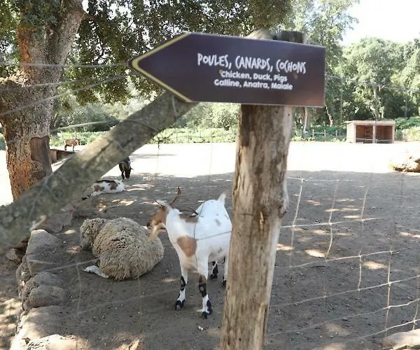 De La Distillerie فندق مبيت وإفطار